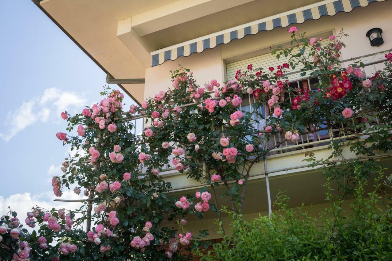 B&B Due Passi Dal Mare Cinquale Dış mekan fotoğraf